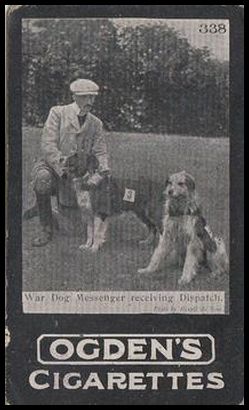 338 War Dog Messenger receiving Dispatch